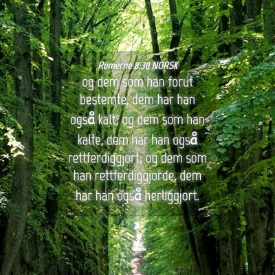 Picture 04 - Romerne 8:30 NORSK - og dem som han forut bestemte, dem har han også - Bible Verse Picture