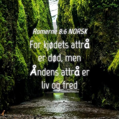 Picture 04 - Romerne 8:6 NORSK - For kjødets attrå er død, men Åndens attrå - Bible Verse Picture