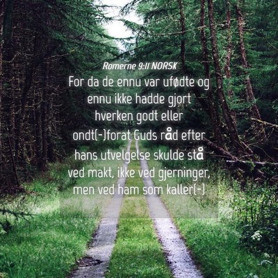 Picture 04 - Romerne 9:11 NORSK - For da de ennu var ufødte og ennu ikke hadde - Bible Verse Picture