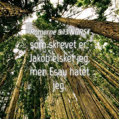 Picture 04 - Romerne 9:13 NORSK - som skrevet er: Jakob elsket jeg, men Esau hatet - Bible Verse Picture