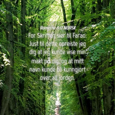 Picture 04 - Romerne 9:17 NORSK - For Skriften sier til Farao: Just til dette - Bible Verse Picture