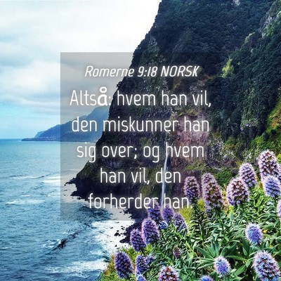 Picture 04 - Romerne 9:18 NORSK - Altså: hvem han vil, den miskunner han sig over; - Bible Verse Picture