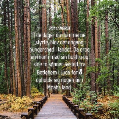 Picture 04 - Rut 1:1 NORSK - I de dager da dommerne styrte, blev det engang - Bible Verse Picture
