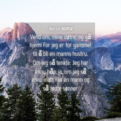 Picture 04 - Rut 1:12 NORSK - Vend om, mine døtre, og gå hjem! For jeg er for - Bible Verse Picture