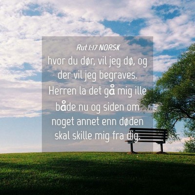 Picture 04 - Rut 1:17 NORSK - hvor du dør, vil jeg dø, og der vil jeg - Bible Verse Picture