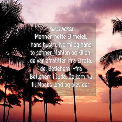 Picture 04 - Rut 1:2 NORSK - Mannen hette Elimelek, hans hustru No'mi og hans - Bible Verse Picture
