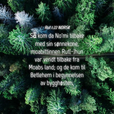 Picture 04 - Rut 1:22 NORSK - Så kom da No'mi tilbake med sin sønnekone, - Bible Verse Picture