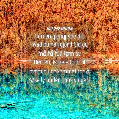 Picture 04 - Rut 2:12 NORSK - Herren gjengjelde dig hvad du har gjort! Gid du - Bible Verse Picture