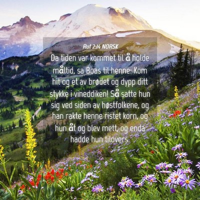 Picture 04 - Rut 2:14 NORSK - Da tiden var kommet til å holde måltid, sa Boas - Bible Verse Picture