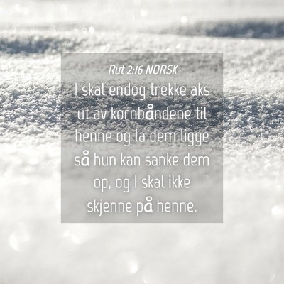 Picture 04 - Rut 2:16 NORSK - I skal endog trekke aks ut av kornbåndene til - Bible Verse Picture