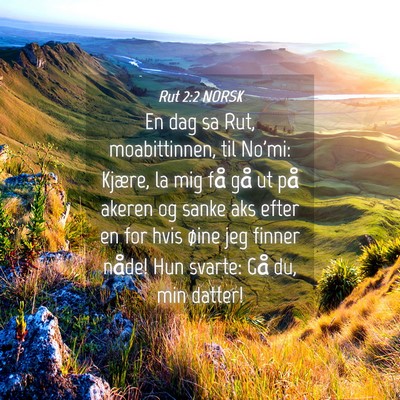 Picture 04 - Rut 2:2 NORSK - En dag sa Rut, moabittinnen, til No'mi: Kjære, - Bible Verse Picture
