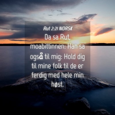 Picture 04 - Rut 2:21 NORSK - Da sa Rut, moabittinnen: Han sa også til mig: - Bible Verse Picture