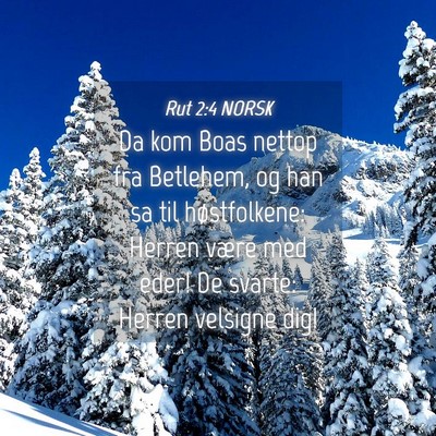 Picture 04 - Rut 2:4 NORSK - Da kom Boas nettop fra Betlehem, og han sa til - Bible Verse Picture