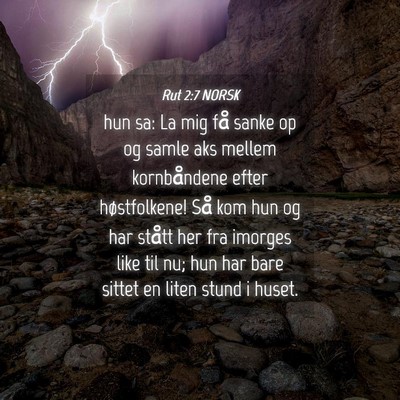 Picture 04 - Rut 2:7 NORSK - hun sa: La mig få sanke op og samle aks mellem - Bible Verse Picture