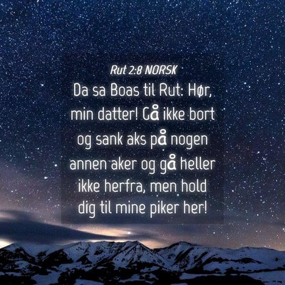 Picture 04 - Rut 2:8 NORSK - Da sa Boas til Rut: Hør, min datter! Gå ikke - Bible Verse Picture