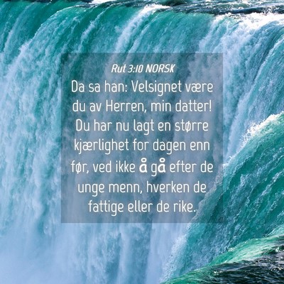 Picture 04 - Rut 3:10 NORSK - Da sa han: Velsignet være du av Herren, min - Bible Verse Picture