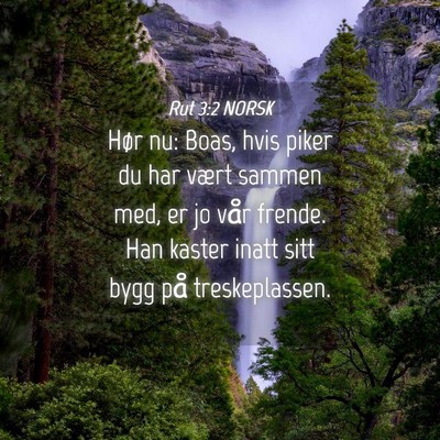 Picture 04 - Rut 3:2 NORSK - Hør nu: Boas, hvis piker du har vært sammen - Bible Verse Picture