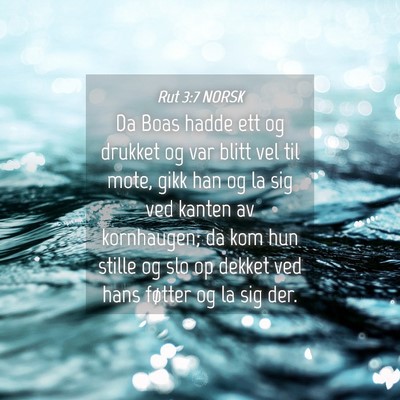 Picture 04 - Rut 3:7 NORSK - Da Boas hadde ett og drukket og var blitt vel til - Bible Verse Picture