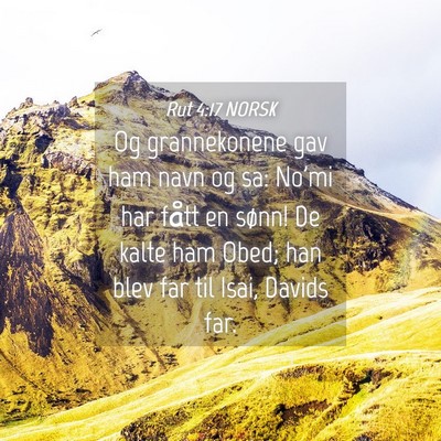 Picture 04 - Rut 4:17 NORSK - Og grannekonene gav ham navn og sa: No'mi har - Bible Verse Picture