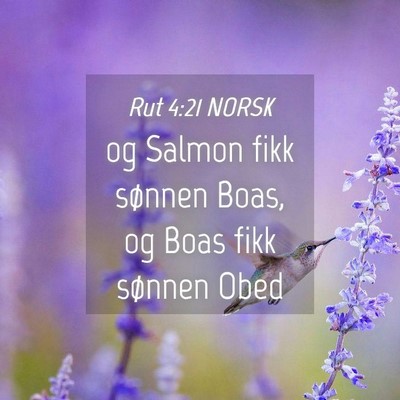 Picture 04 - Rut 4:21 NORSK - og Salmon fikk sønnen Boas, og Boas fikk sønnen - Bible Verse Picture