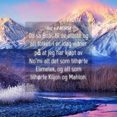 Picture 04 - Rut 4:9 NORSK - Da sa Boas til de eldste og alt folket: I er idag - Bible Verse Picture