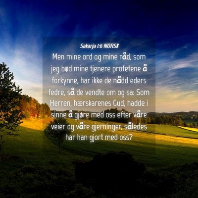 Picture 04 - Sakarja 1:6 NORSK - Men mine ord og mine råd, som jeg bød mine - Bible Verse Picture