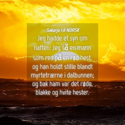Picture 04 - Sakarja 1:8 NORSK - Jeg hadde et syn om natten: Jeg så en mann som - Bible Verse Picture