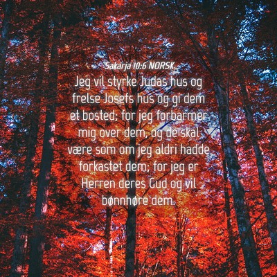 Picture 04 - Sakarja 10:6 NORSK - Jeg vil styrke Judas hus og frelse Josefs hus og - Bible Verse Picture
