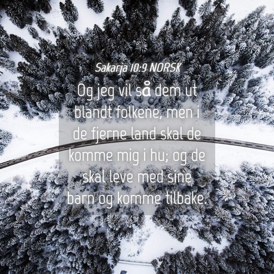 Picture 04 - Sakarja 10:9 NORSK - Og jeg vil så dem ut blandt folkene, men i de - Bible Verse Picture