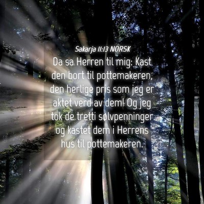 Picture 04 - Sakarja 11:13 NORSK - Da sa Herren til mig: Kast den bort til - Bible Verse Picture