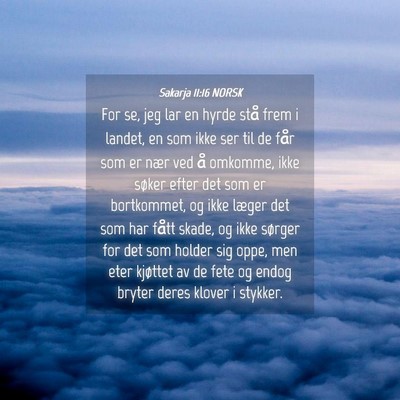 Picture 04 - Sakarja 11:16 NORSK - For se, jeg lar en hyrde stå frem i landet, en - Bible Verse Picture