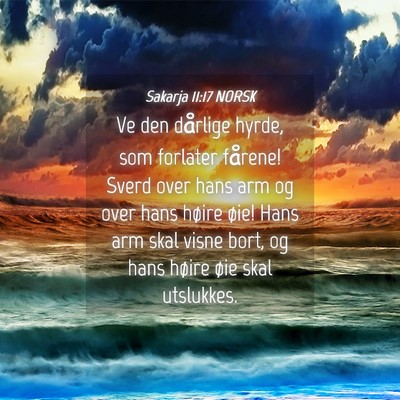 Picture 04 - Sakarja 11:17 NORSK - Ve den dårlige hyrde, som forlater fårene! - Bible Verse Picture