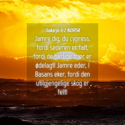 Picture 04 - Sakarja 11:2 NORSK - Jamre dig, du cypress, fordi sederen er falt, - Bible Verse Picture