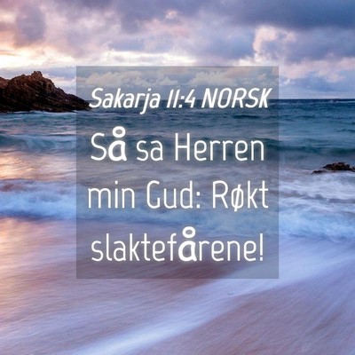 Picture 04 - Sakarja 11:4 NORSK - Så sa Herren min Gud: Røkt - Bible Verse Picture
