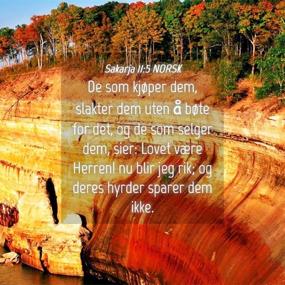 Picture 04 - Sakarja 11:5 NORSK - De som kjøper dem, slakter dem uten å bøte for - Bible Verse Picture