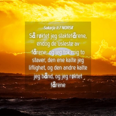 Picture 04 - Sakarja 11:7 NORSK - Så røktet jeg slaktefårene, endog de usleste - Bible Verse Picture