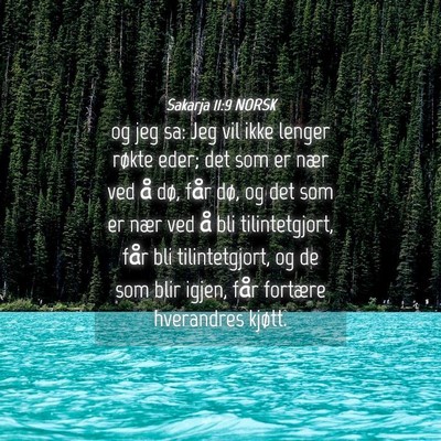 Picture 04 - Sakarja 11:9 NORSK - og jeg sa: Jeg vil ikke lenger røkte eder; det - Bible Verse Picture
