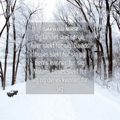 Picture 04 - Sakarja 12:12 NORSK - Og landet skal sørge, hver slekt for sig, Davids - Bible Verse Picture