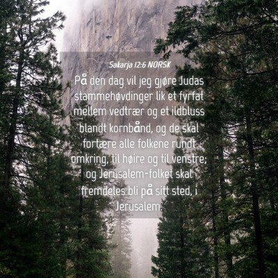Picture 04 - Sakarja 12:6 NORSK - På den dag vil jeg gjøre Judas stammehøvdinger - Bible Verse Picture