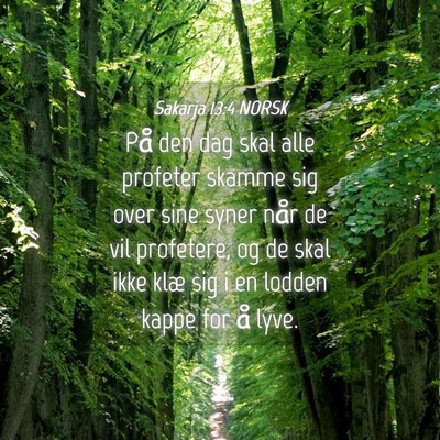 Picture 04 - Sakarja 13:4 NORSK - På den dag skal alle profeter skamme sig over - Bible Verse Picture