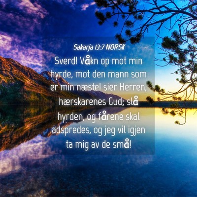 Picture 04 - Sakarja 13:7 NORSK - Sverd! Våkn op mot min hyrde, mot den mann som - Bible Verse Picture