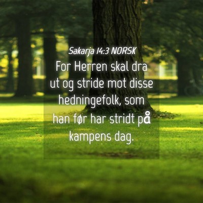 Picture 04 - Sakarja 14:3 NORSK - For Herren skal dra ut og stride mot disse - Bible Verse Picture