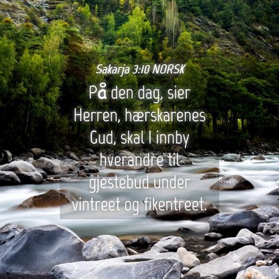 Picture 04 - Sakarja 3:10 NORSK - På den dag, sier Herren, hærskarenes Gud, skal - Bible Verse Picture