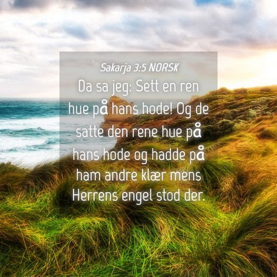 Picture 04 - Sakarja 3:5 NORSK - Da sa jeg: Sett en ren hue på hans hode! Og de - Bible Verse Picture