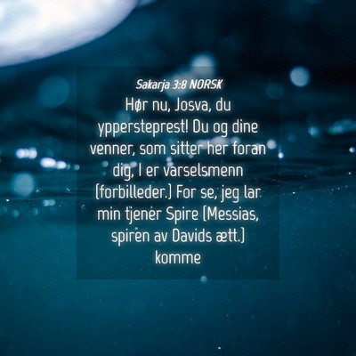 Picture 04 - Sakarja 3:8 NORSK - Hør nu, Josva, du yppersteprest! Du og dine - Bible Verse Picture