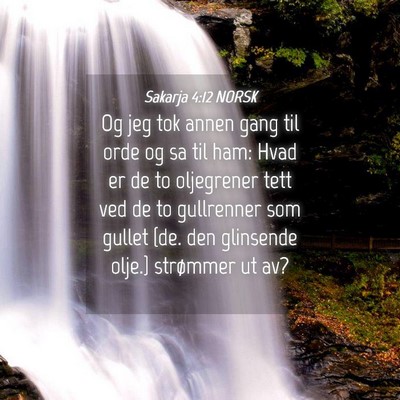 Picture 04 - Sakarja 4:12 NORSK - Og jeg tok annen gang til orde og sa til ham: - Bible Verse Picture