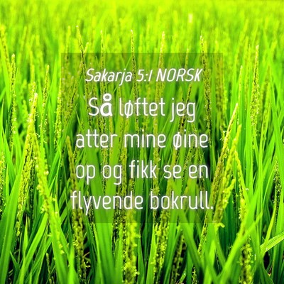 Picture 04 - Sakarja 5:1 NORSK - Så løftet jeg atter mine øine op og fikk se en - Bible Verse Picture