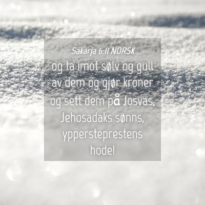Picture 04 - Sakarja 6:11 NORSK - og ta imot sølv og gull av dem og gjør kroner - Bible Verse Picture