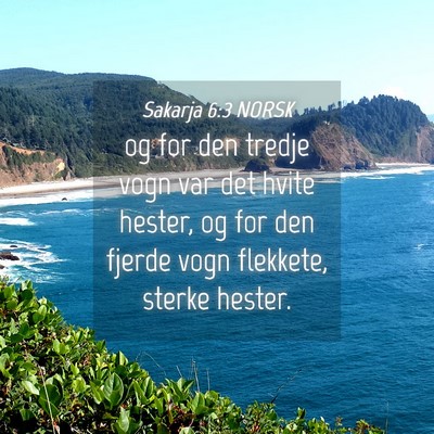 Picture 04 - Sakarja 6:3 NORSK - og for den tredje vogn var det hvite hester, og - Bible Verse Picture