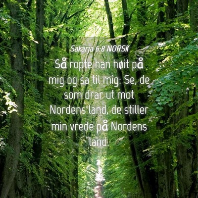 Picture 04 - Sakarja 6:8 NORSK - Så ropte han høit på mig og sa til mig: Se, de - Bible Verse Picture